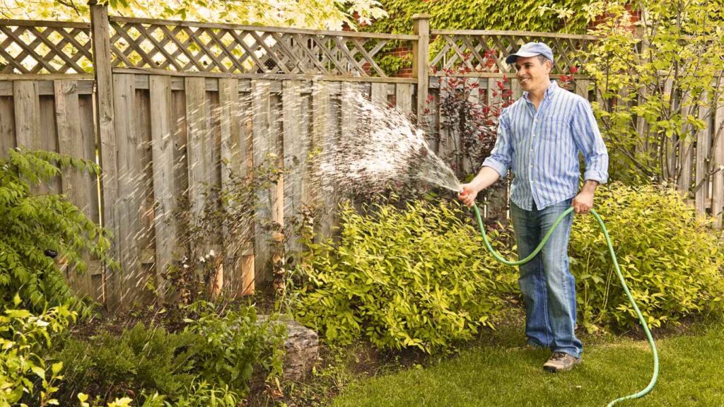 Best Garden Hoses