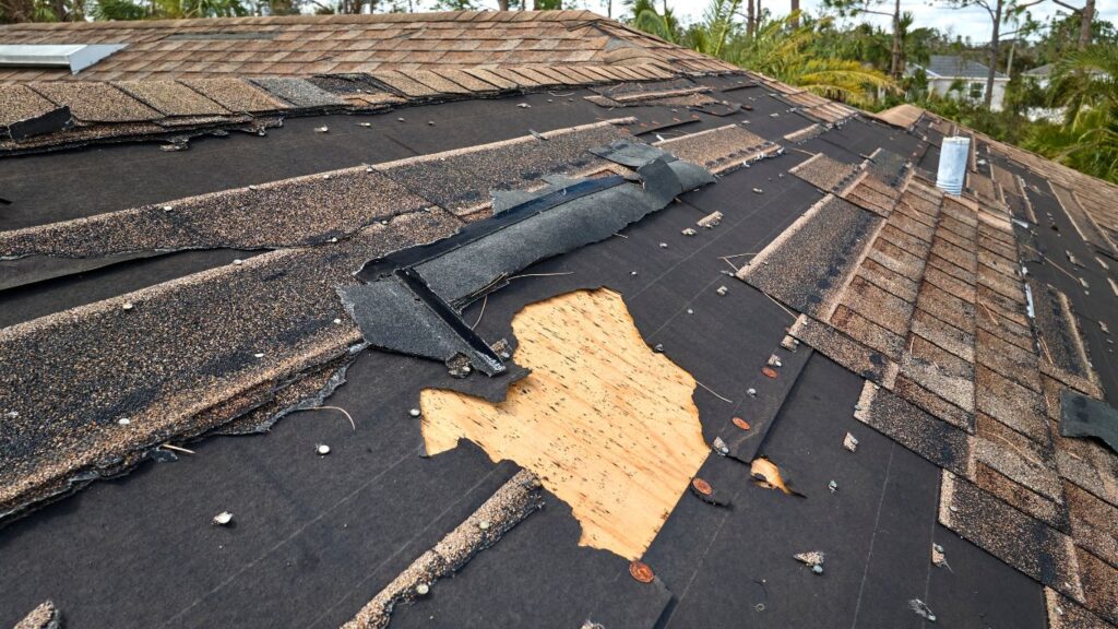 Damaged Shingles