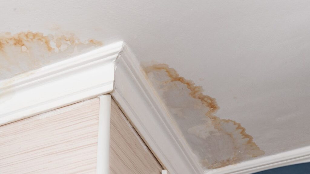 Water Stains on Your Ceiling